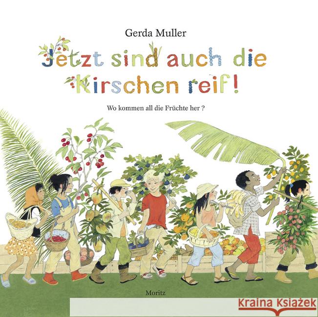 Jetzt sind auch die Kirschen reif! : Wo kommen all die Früchte her Muller, Gerda 9783895653353 Moritz - książka