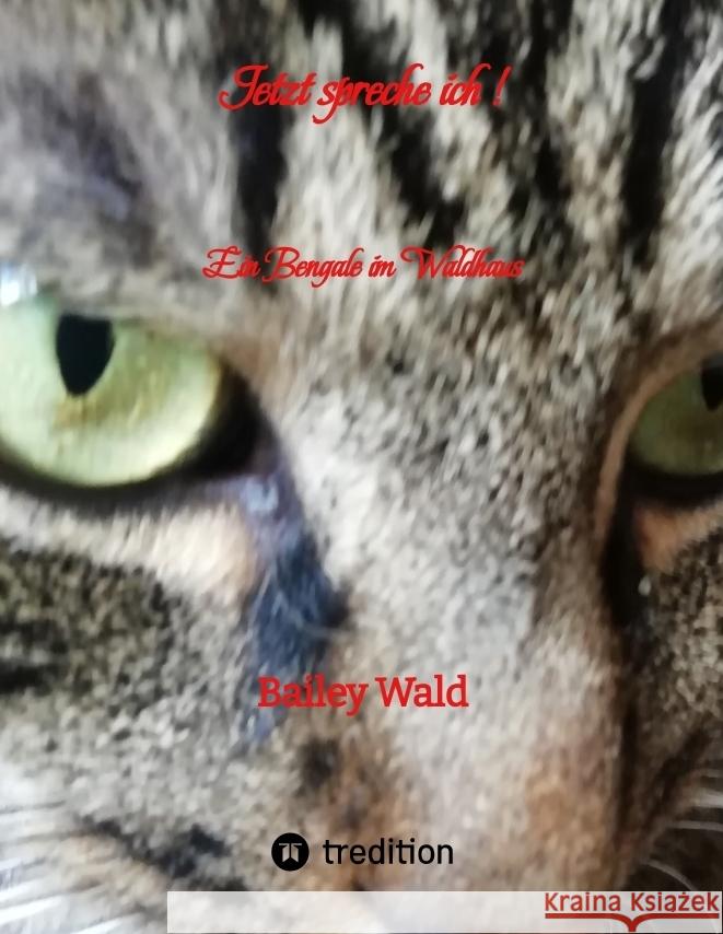 Jetzt spreche ich ! FIV Kater Bailey berichtet aus seinen Leben: Ein Bengale im Waldhaus Bailey Wald 9783384185136 Tredition Gmbh - książka