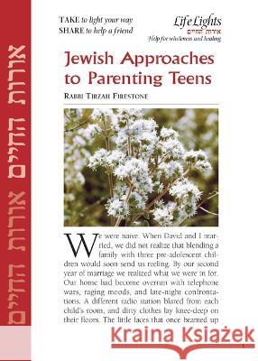 Jewish Approach to Parenting Teens-12 Pk  9781683366270 Jewish Lights Publishing - książka