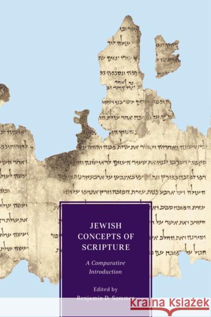 Jewish Concepts of Scripture: A Comparative Introduction Sommer, Benjamin D. 9780814740620 New York University Press - książka