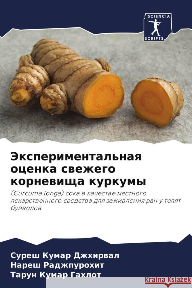 Jexperimental'naq ocenka swezhego kornewischa kurkumy Dzhhirwal, Suresh Kumar, Radzhpurohit, Naresh, Gahlot, Tarun Kumar 9786205085578 Sciencia Scripts - książka