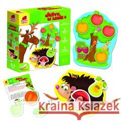 Jeżyk w lesie  5903858961040 Roter Kafer - książka