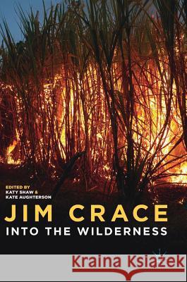 Jim Crace: Into the Wilderness Shaw, Katy 9783319940922 Palgrave MacMillan - książka