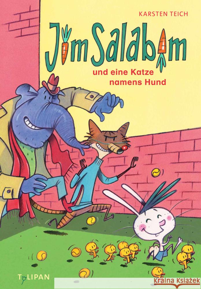 Jim Salabim und eine Katze namens Hund Teich, Karsten 9783864296789 Tulipan - książka