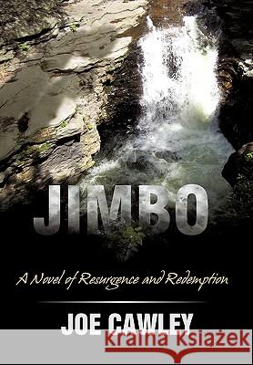 Jimbo: A Novel of Resurgence and Redemption Joe Cawley 9781450237598 iUniverse - książka