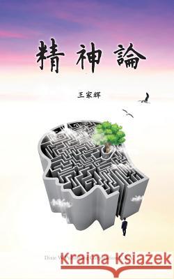 Jingshen Lun Jiahui Wang 9781683721352 Dixie W Publishing Corporation - książka
