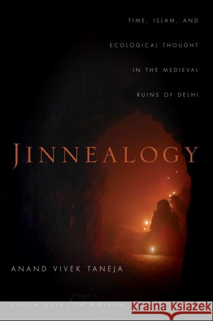 Jinnealogy: Time, Islam, and Ecological Thought in the Medieval Ruins of Delhi  9781503603936 Stanford University Press - książka