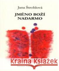 Jméno boží nadarmo Vojtěch Kemenny 9788090884229 Theatrum mundi - książka