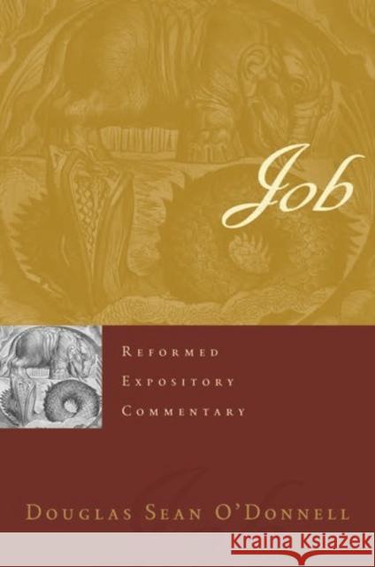 Job Douglas Sean O'Donnell 9781629954523 P & R Publishing - książka