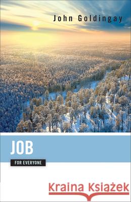 Job for Everyone John Goldingay 9780664239367 Westminster John Knox Press - książka