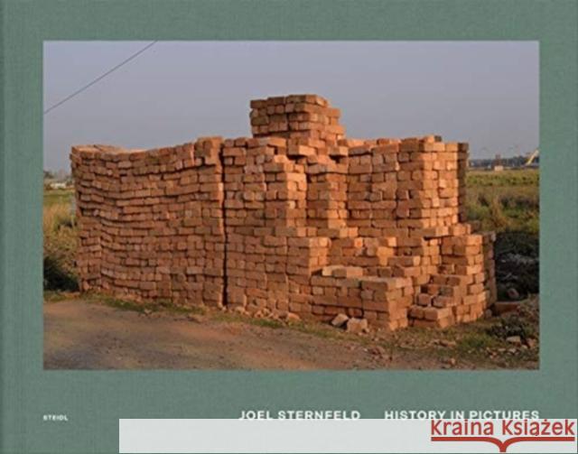 Joel Sternfeld: History in Pictures Joel Sternfeld 9783958297609 Steidl - książka