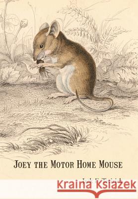 Joey the Motor Home Mouse Jack E. Tetirick 9781475937022 iUniverse.com - książka