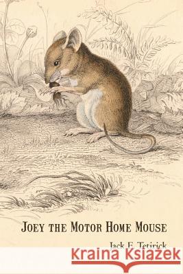 Joey the Motor Home Mouse Jack E. Tetirick 9781475937039 iUniverse.com - książka
