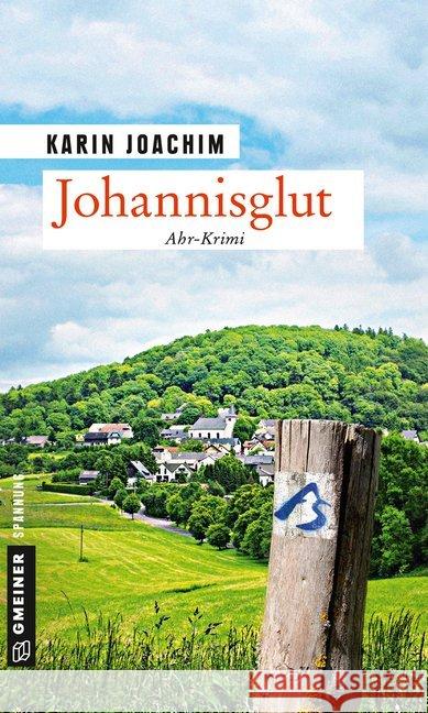 Johannisglut : Kriminalroman Joachim, Karin 9783839223895 Gmeiner - książka