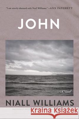 John Niall Williams 9781639738878 Bloomsbury Publishing - książka