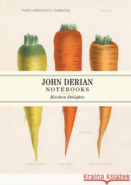 John Derian Paper Goods: Kitchen Delights Notebooks John Derian 9781648290428 Workman Publishing - książka