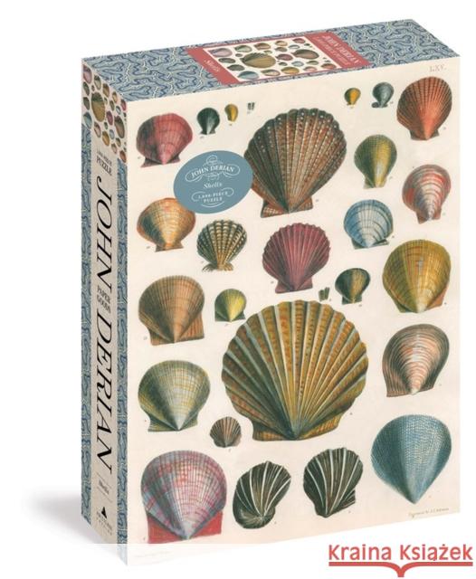 John Derian Paper Goods: Shells 1,000-Piece Puzzle John Derian 9781648291777 Artisan Publishers - książka