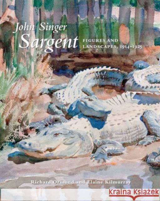 John Singer Sargent: Figures and Landscapes, 1914-1925: The Complete Paintings, Volume IX Ormond, Richard; Kilmurray, Elaine 9780300177374 John Wiley & Sons - książka