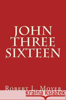 John Three Sixteen Robert L. Moyer 9781511994279 Createspace - książka