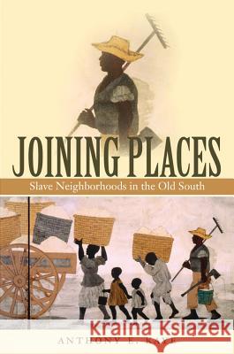 Joining Places: Slave Neighborhoods in the Old South Kaye, Anthony E. 9780807861790 University of North Carolina Press - książka