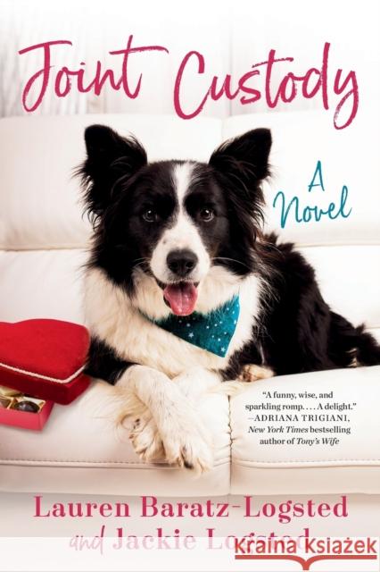 Joint Custody Lauren Baratz-Logsted Jackie Logsted 9780593199589 Berkley Books - książka