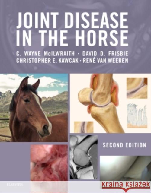 Joint Disease in the Horse C. Wayne McIlwraith 9781455759699 Elsevier Science - książka