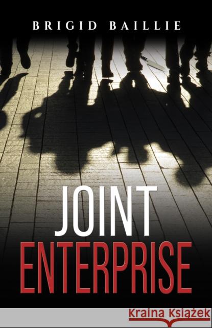 Joint Enterprise Brigid Baillie 9781035820368 Austin Macauley Publishers - książka