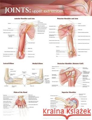 Joints of the Upper Extremities Anatomical Chart  Anatomical Chart Company 9780781786560  - książka