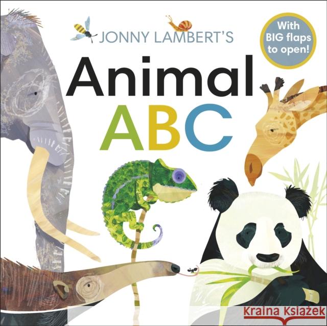 Jonny Lambert's Animal ABC Jonny Lambert Jonny Lambert  9780241356074 Dorling Kindersley Ltd - książka