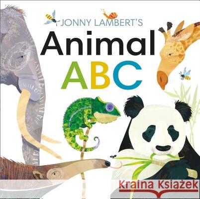 Jonny Lambert's Animal ABC Jonny Lambert 9781465475718 DK Publishing (Dorling Kindersley) - książka