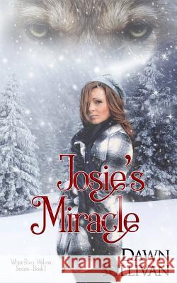 Josie's Miracle Dawn Sullivan 9781503095243 Createspace - książka