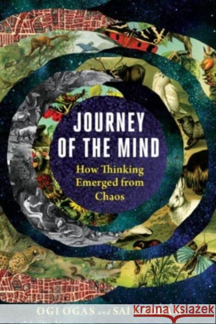 Journey of the Mind: How Thinking Emerged from Chaos Sai Gaddam Ogi Ogas 9781324006572 WW Norton & Co - książka