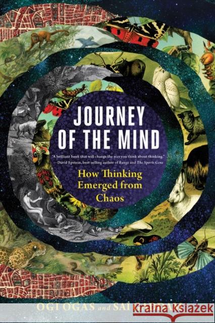 Journey of the Mind: How Thinking Emerged from Chaos Sai Gaddam 9781324050575 WW Norton & Co - książka