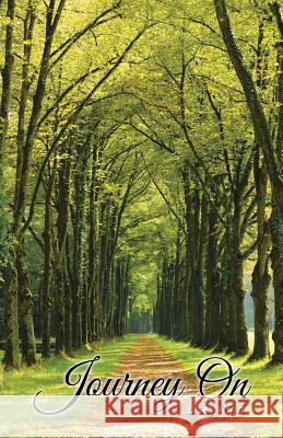 Journey On Lisey King 9781532002717 iUniverse - książka