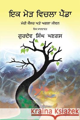 Journey Through a Turning Point: Punjabi Edition Gurdev S. Ghangas 9781634988353 Bookstand Publishing - książka