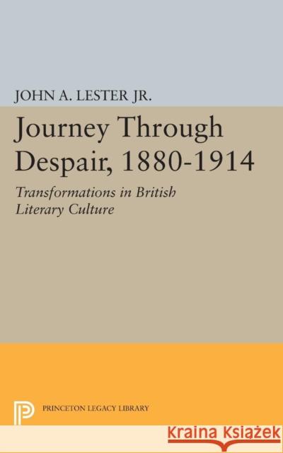 Journey Through Despair, 1880-1914 Lester, John Ashby 9780691622415 John Wiley & Sons - książka