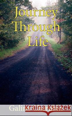 Journey Through Life Galina Cherubin 9781420877625 Authorhouse - książka
