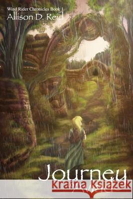 Journey To Aviad Reid, Allison D. 9781456329655 Createspace - książka