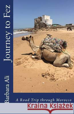 Journey to Fez: A Road Trip Through Morocco Barbara Ali 9781536988482 Createspace Independent Publishing Platform - książka