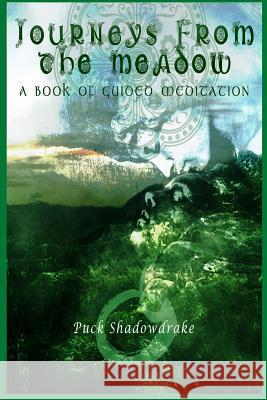 Journeys From the Meadow A Book of Guided Meditations Shadowdrake, Puck 9781523737673 Createspace Independent Publishing Platform - książka