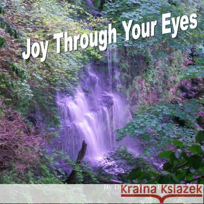 Joy Through Your Eyes Dawn Went 9781499795493 Createspace - książka