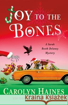 Joy to the Bones Carolyn Haines 9781250377692 Minotaur Books - książka