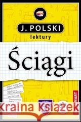 J..polski Ściągi edukacyjne Anna Wróbel 9788379127320 Demart - książka