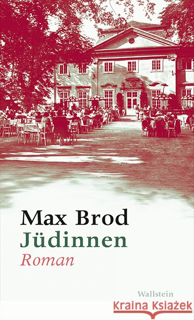 Jüdinnen : Roman Brod, Max 9783835311930 Wallstein - książka