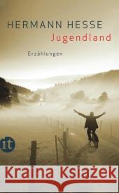 Jugendland : Erzählungen Hesse, Hermann 9783458358374 Insel, Frankfurt - książka