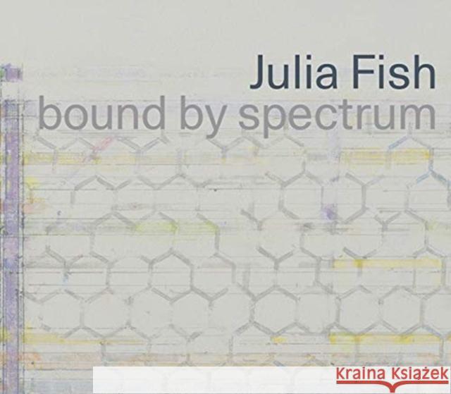 Julia Fish: Bound by Spectrum Julie Rodrigues Widholm 9780996235037 Dapaul Art Museum - książka