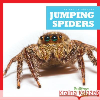 Jumping Spiders Jenna Lee Gleisner 9781624967924 Bullfrog Books - książka