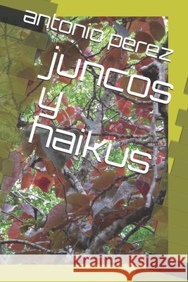 juncos y haikus Perez, Antonio 9798684908019 Independently Published - książka