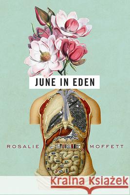 June in Eden Rosalie Moffett 9780814253847 Mad River Books an Imprint of the Ohio State - książka