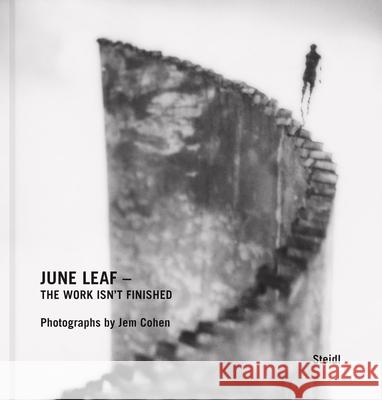 June Leaf – The Work Isn’t Finished Jem Cohen 9783969993392 Steidl Publishers - książka